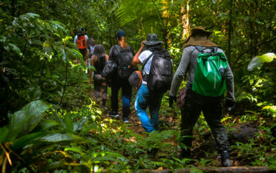 Ecoturismo no Brasil: empreendedorismo sustentável