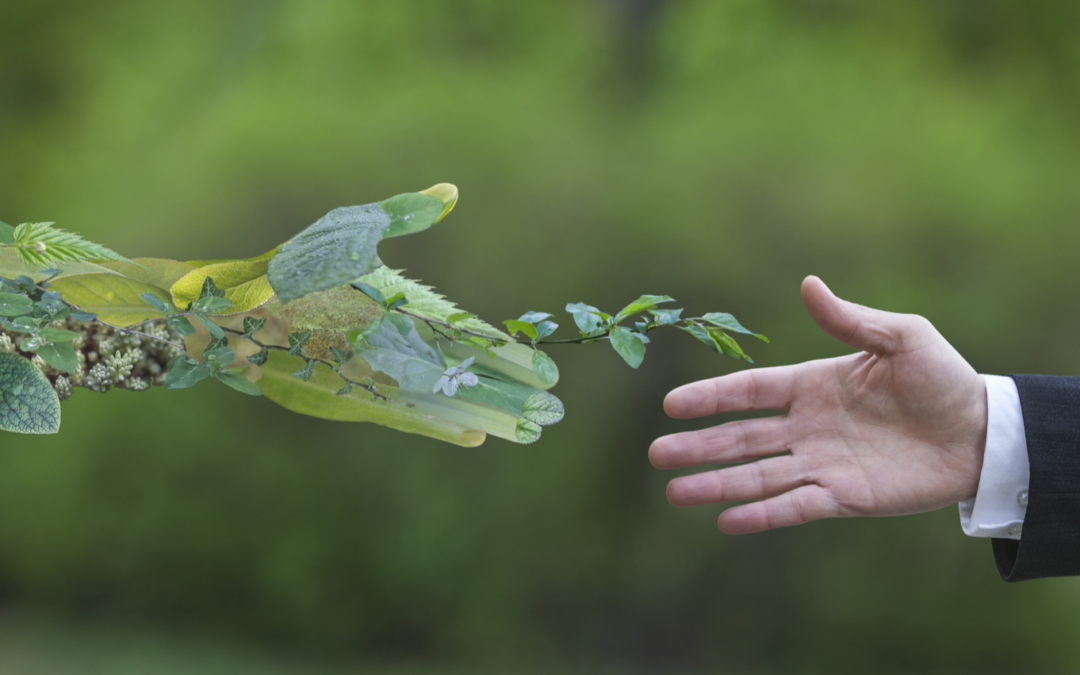 Economia Verde: o caminho sustentável para o futuro