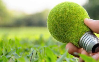 Marketing verde: estratégias para negócios